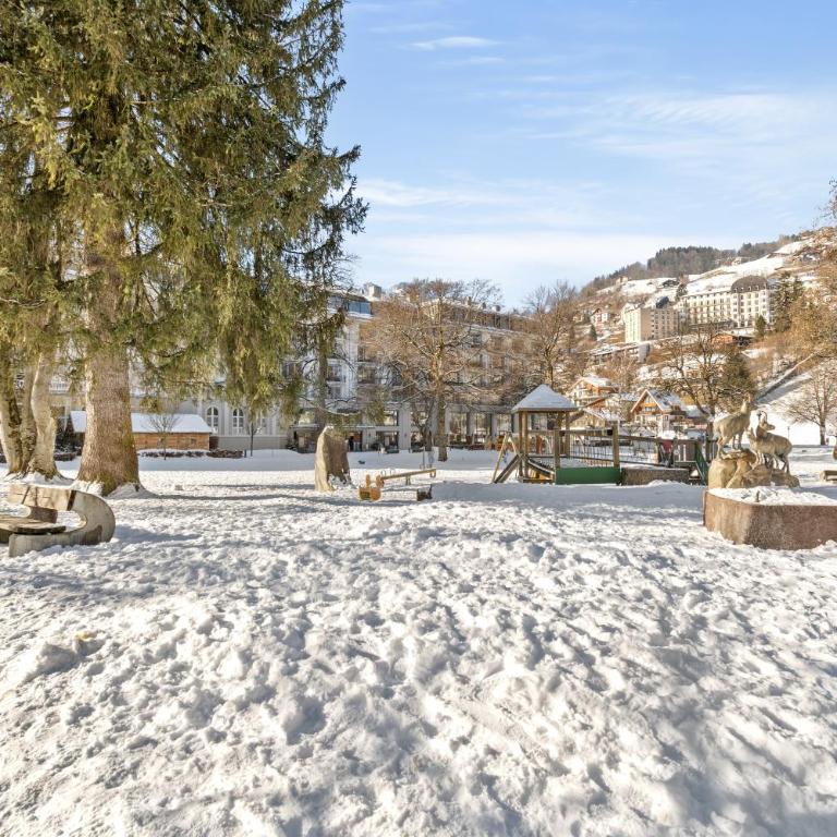 Zentrales Studio mit mega Bergblick, Titlis, Luzern, Lake, Kurpark - Appartamento con 1 Camera da Letto - 18