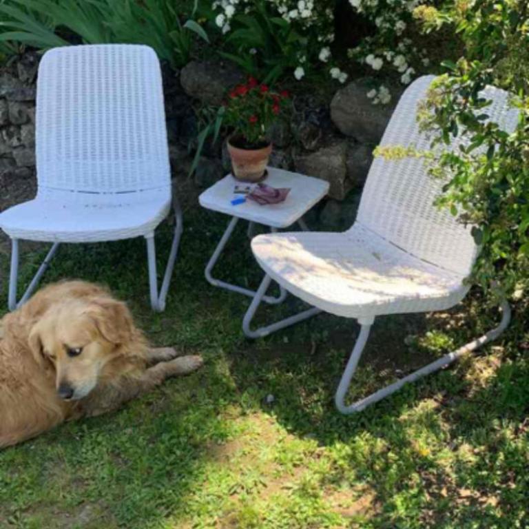 Piscina, relax e arte - Appartamento con 2 Camere da Letto - 8