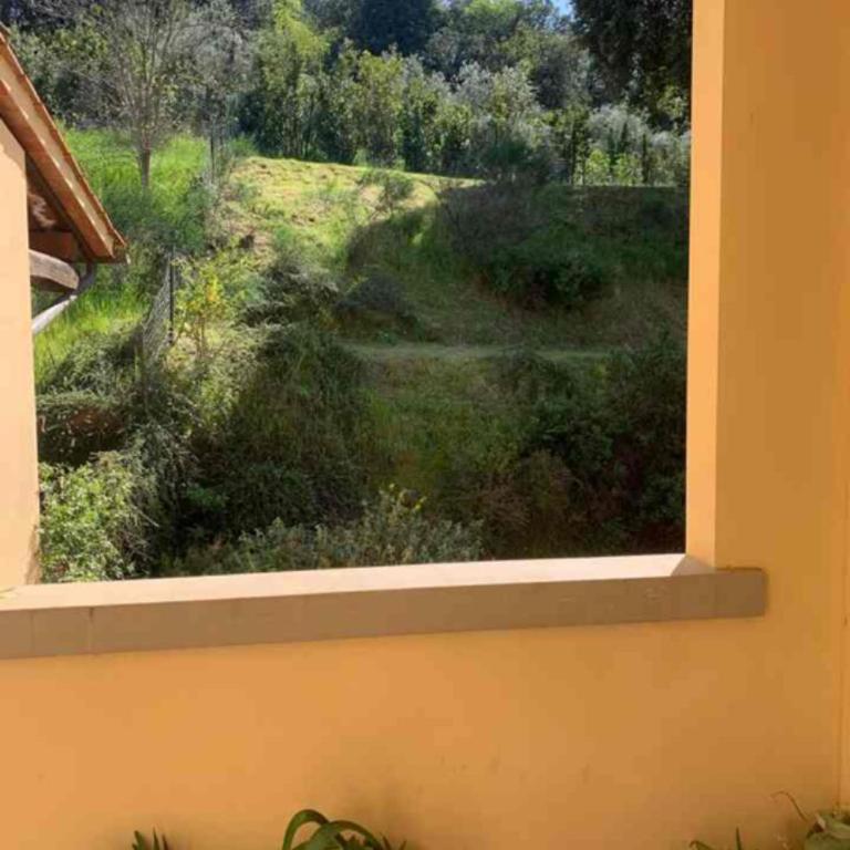Piscina, relax e arte - Appartamento con 2 Camere da Letto - 21