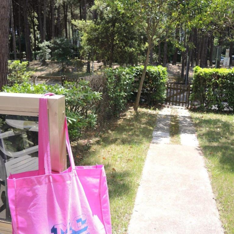 Enjoy your holiday in our lovely flat with garden - Apartment - 3