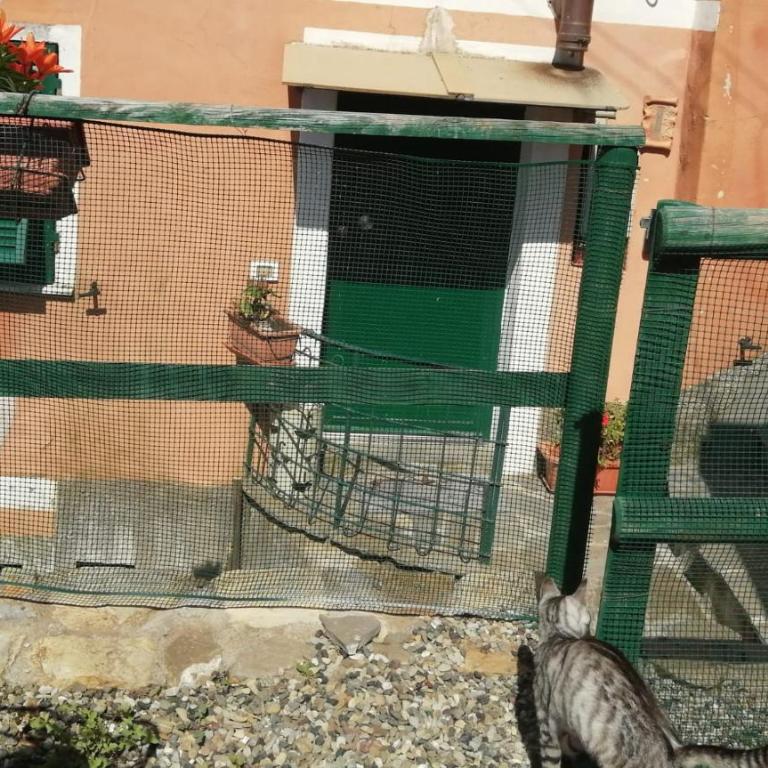 Maremonti - One-Bedroom Apartment - 8