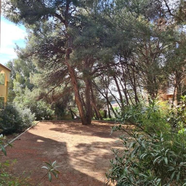 Les Hauts de Balaruc - Appartement - Vue sur Piscine - 15