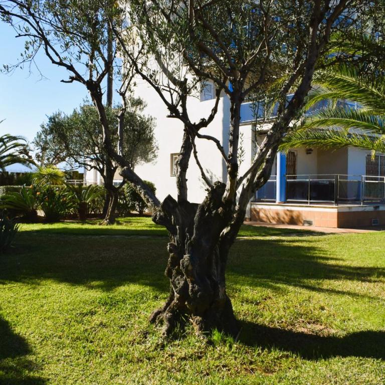 Estudio con Piscina a 80 metros de la Playa Les Deveses - Denia - Estudio - 28