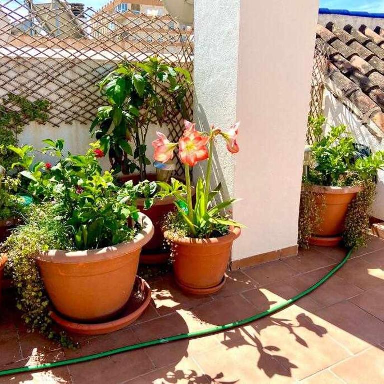 El Atico de Patricia By Solymar Properties - Apartamento de 1 dormitorio - 21