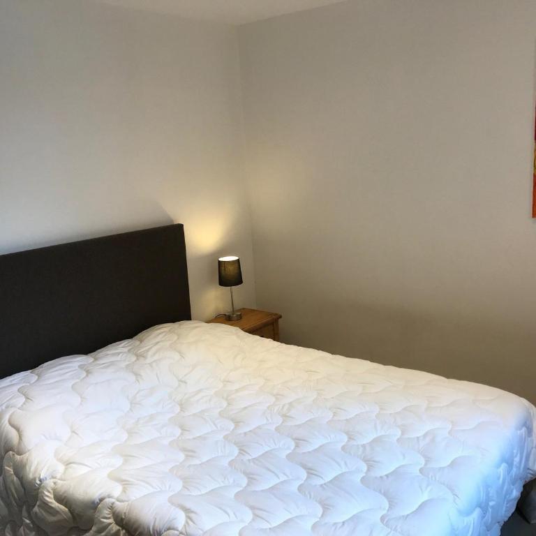 Bel appartement 6 pers, terrasse, garage, animaux admis - FR-1-445-34 - Appartamento (6 Adulti) - 8