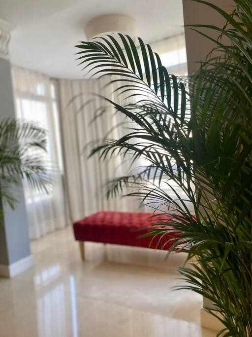 Pan y aceite 2 By Solymar Properties - Apartamento de 3 dormitorios - 27