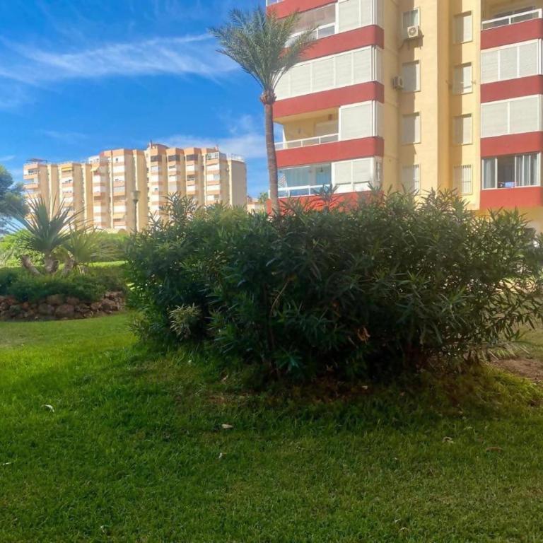 Estudio Amparo By Solymar Properties - Apartamento de 1 dormitorio - 23