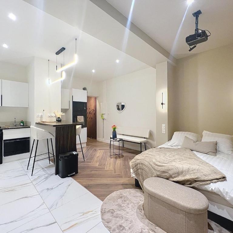 V' Appart SPA Moderne-Chic - Appartement 1 Chambre - 7