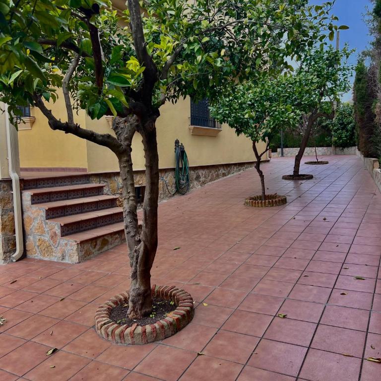 El Carmen - Casa de 5 dormitorios - 9