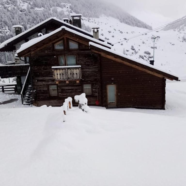 Casa Stella Alpina - Appartamento con 2 Camere da Letto - 3