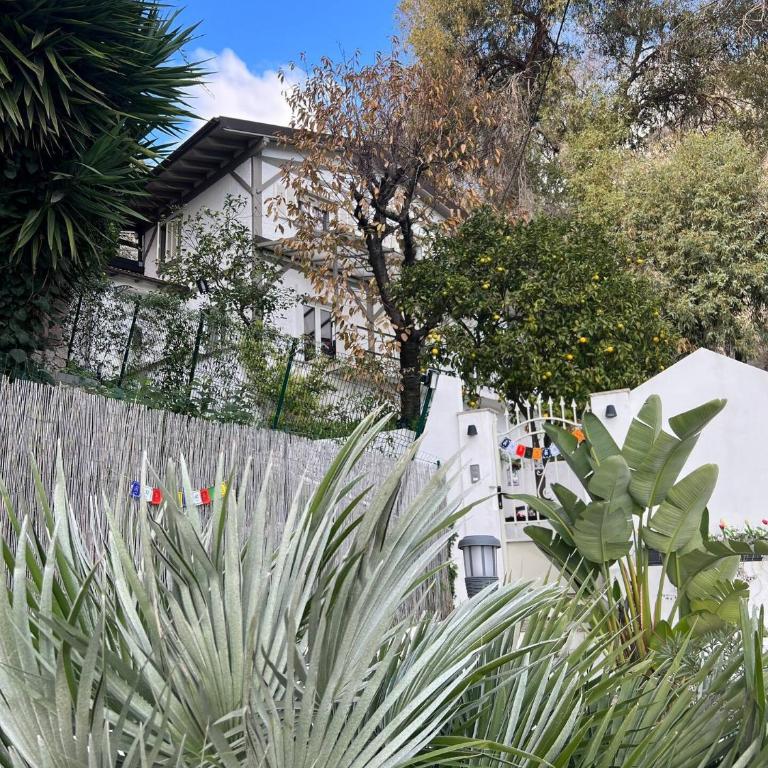 Stunning Seaview White Villa in Beuasoleil with Pool and Garden - Villa 3 Chambres - 50