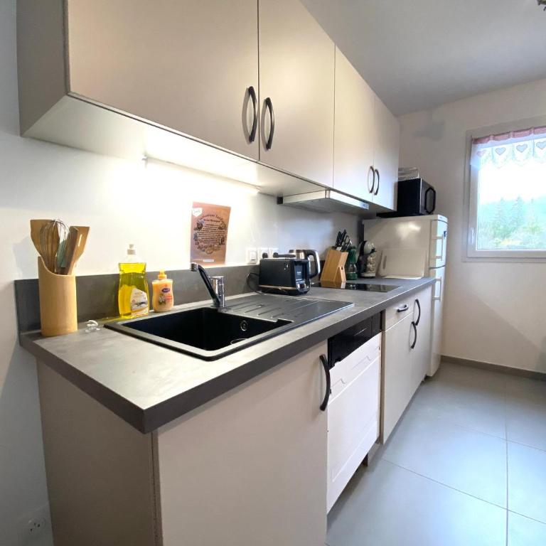 Appartement neuf avec balcon et navette pour le ski - FR-1-624-113 - Apartment - 16