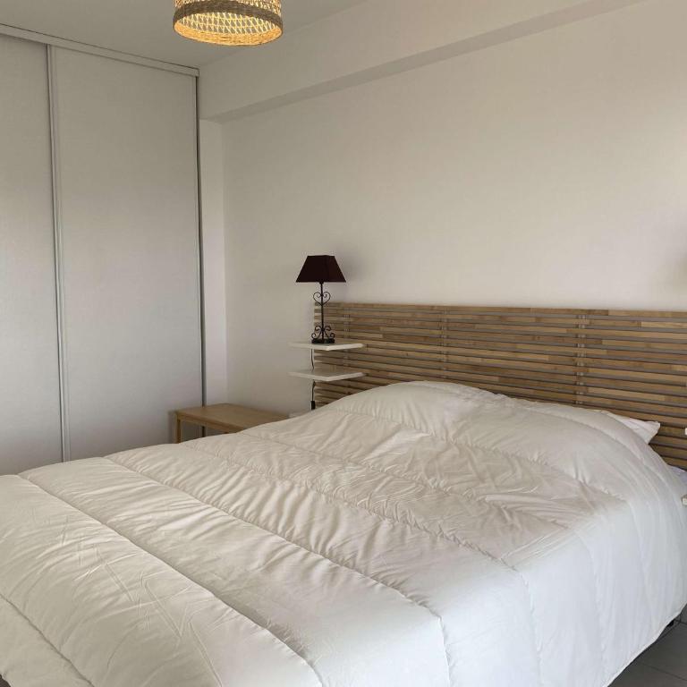 Appartement T3 moderne avec grande terrasse à Balaruc-les-Bains - FR-1-553-293 - Apartment - 13