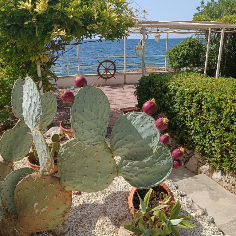 Villa il Timone - Villa - 47