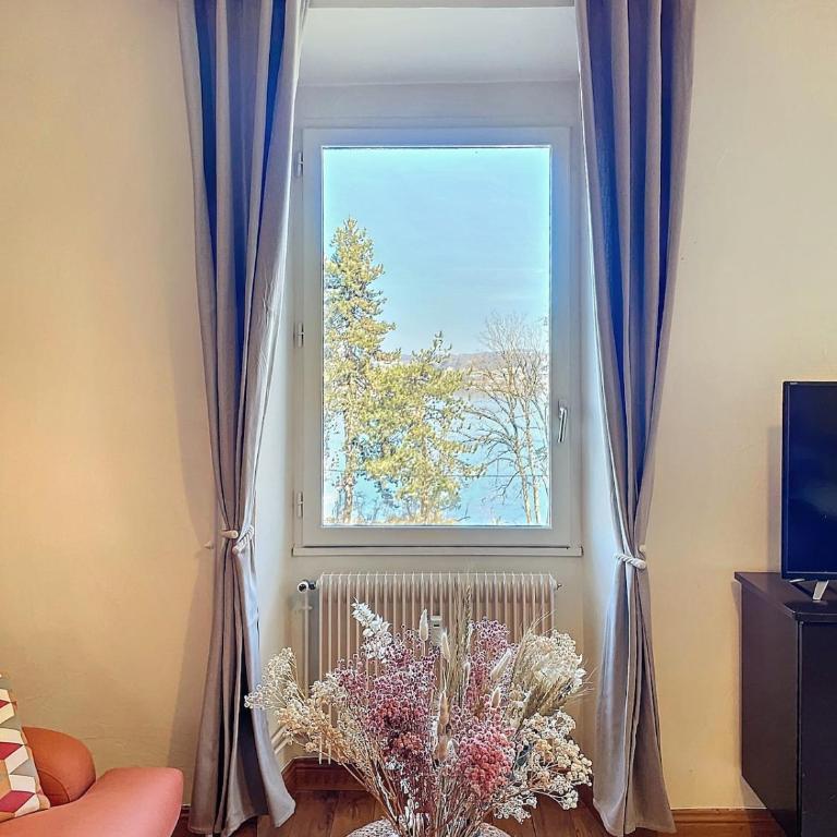 Le Cocon de Colmyr - Vue sur le lac - Parking privé - Appartamento con 2 Camere da Letto e Vista Lago - 23