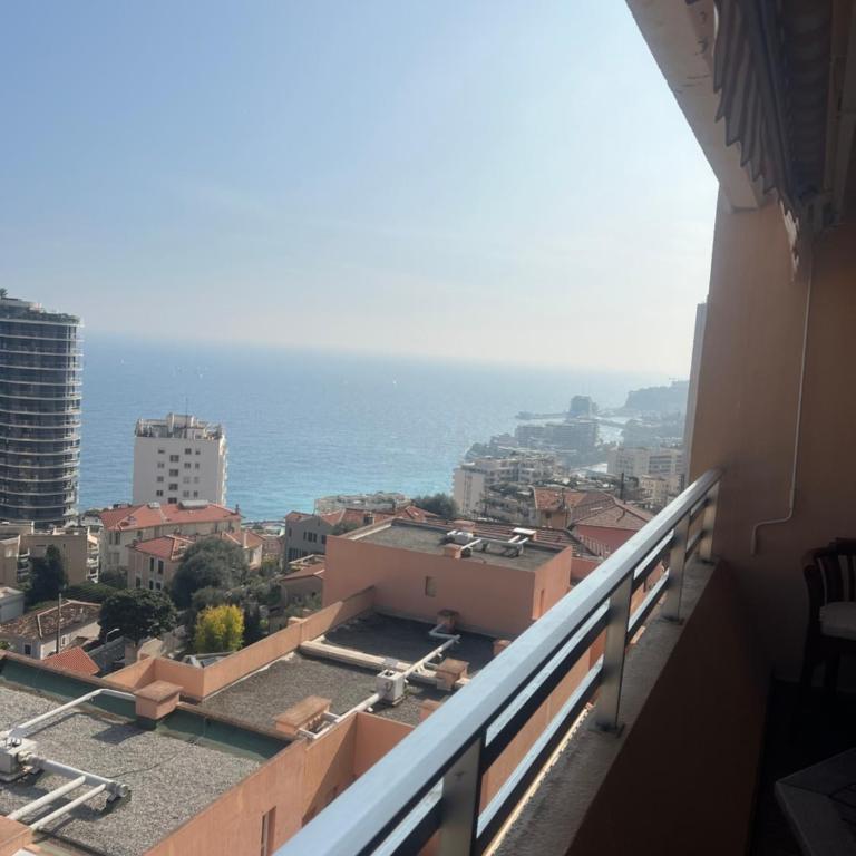 Studio vue mer proche monaco - Appartement 1 Chambre - 9