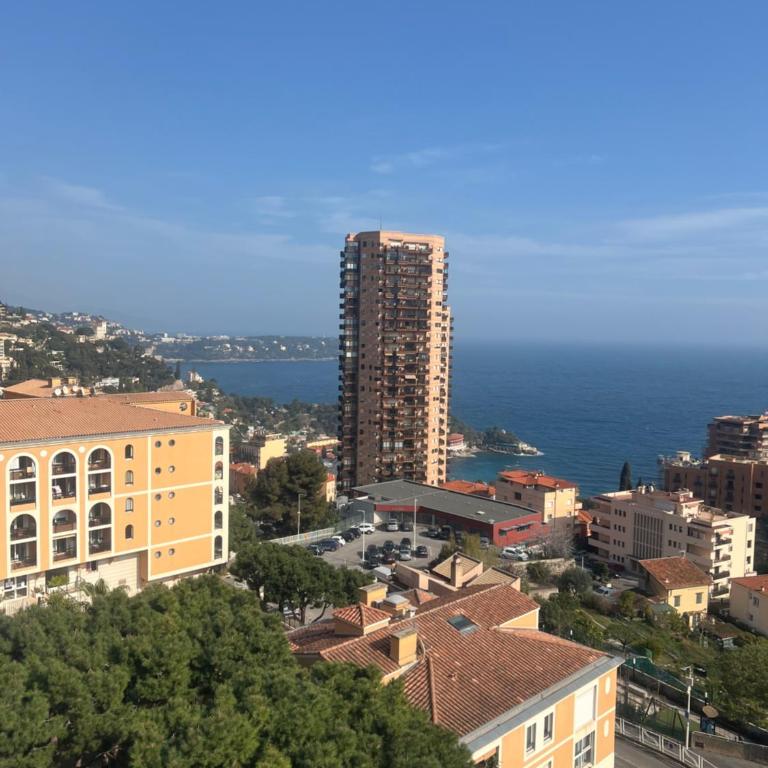 Studio vue mer proche monaco - Appartement 1 Chambre - 17