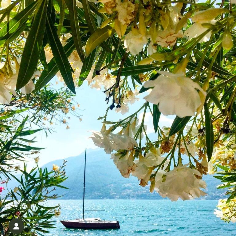 Casa Didi & Rosi - Lake Como - Appartamento con 1 Camera da Letto - 10