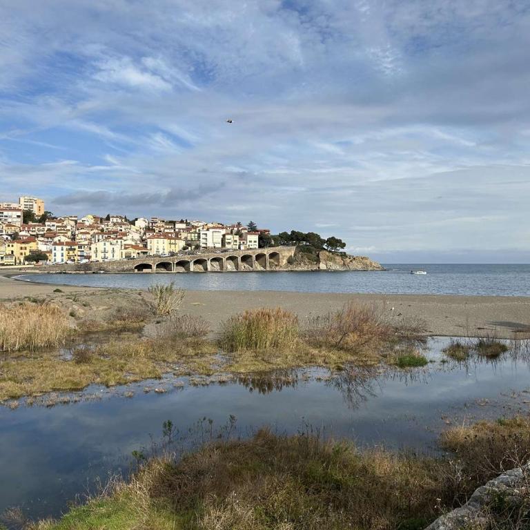 Appart 2 pièces 4 couchages BANYULS SUR MER BN010-004 - Appartement 1 Chambre - Vue sur Mer - 21