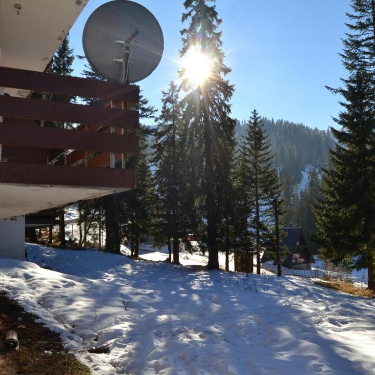 Apartman Kosuta B3 - One-Bedroom Apartment with Balcony and Mountain View - 11