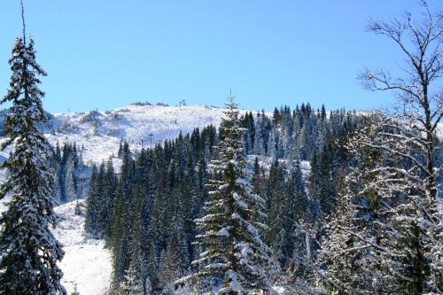 Apartman Kosuta B3 - One-Bedroom Apartment with Balcony and Mountain View - 14
