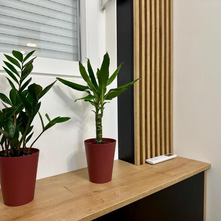 Tre Sorelle - Apartman sa 1 Spavaćom Sobom - 10