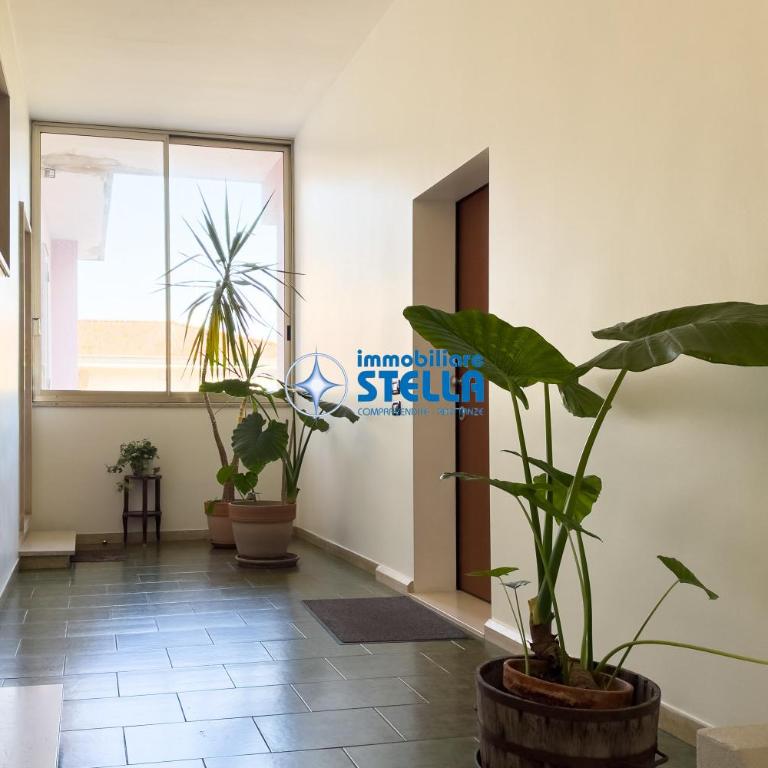 Condominio Giglio - Appartamento con 1 Camera da Letto - 6