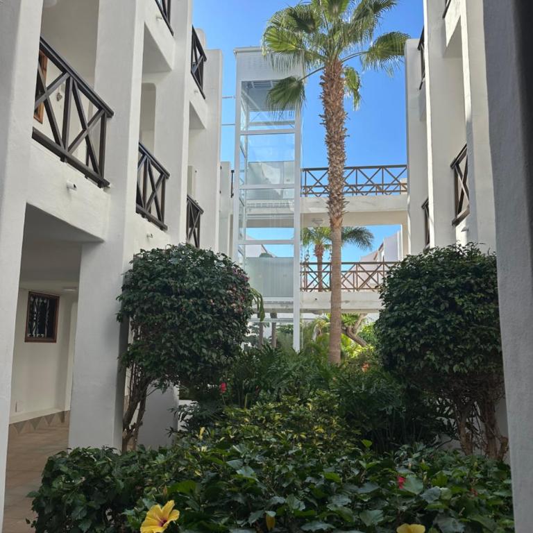 Parque Santiago 1 Next to the beach - Apartamento de 2 dormitorios - 37