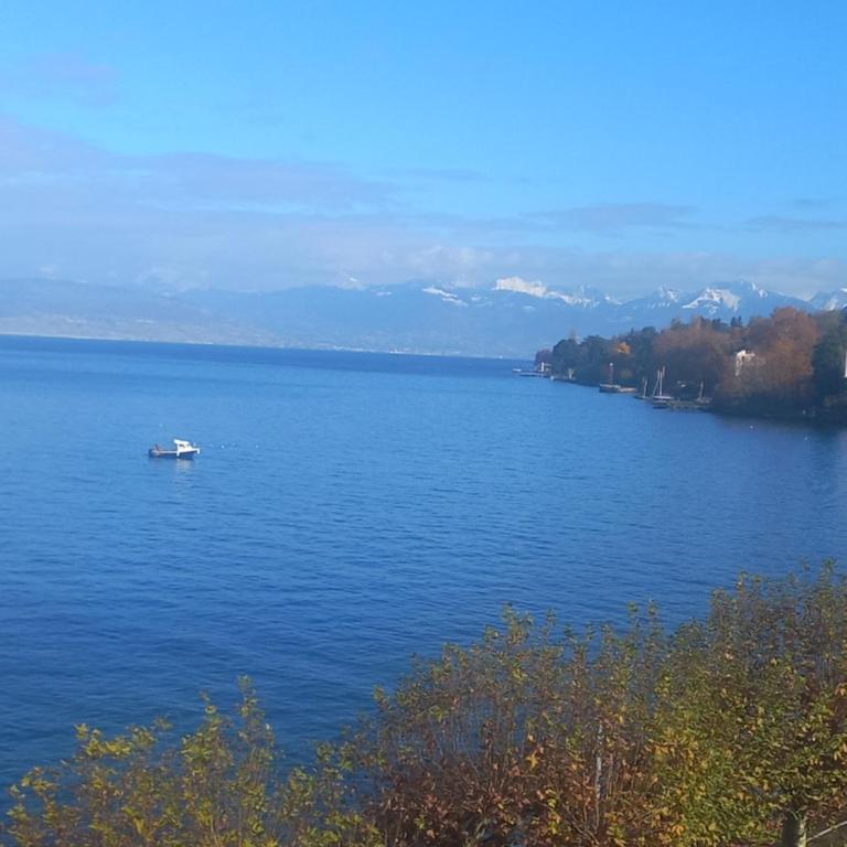 Bellerive, pieds dans l'eau lac & montagnes - Appartement 1 Chambre - 8