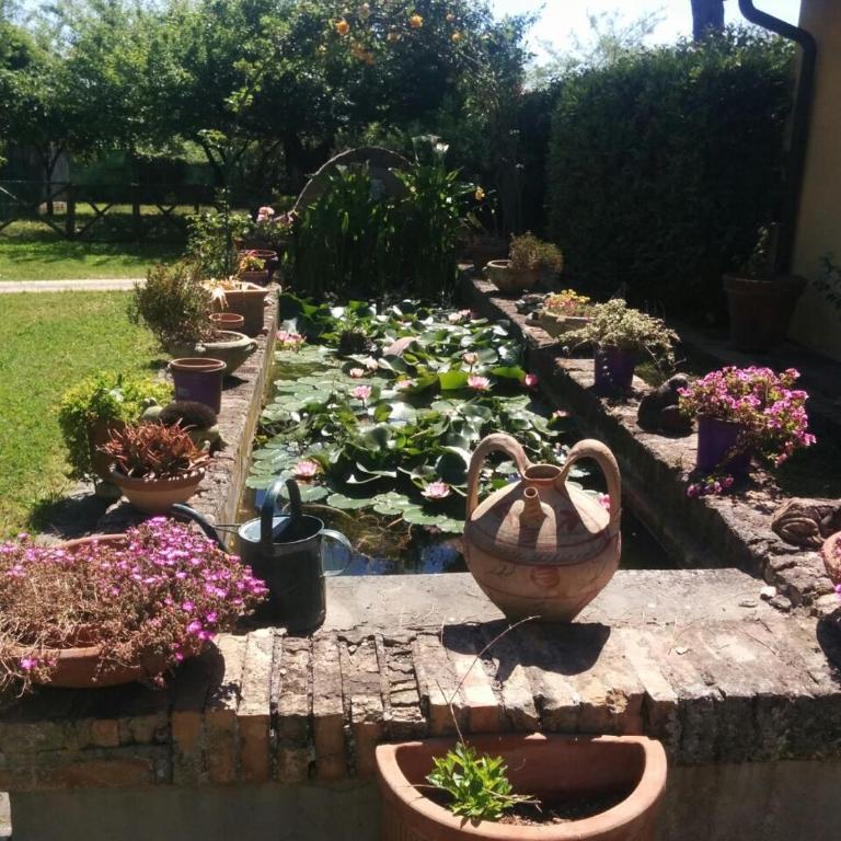 L'Oasi di Baal - Villa con Piscina Privata - 61
