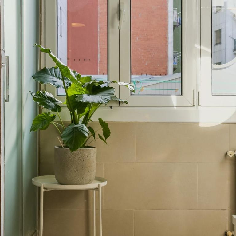 Magalhaes · Trad flat in Poble Sec, near ramblas - Three-Bedroom Apartment - 33