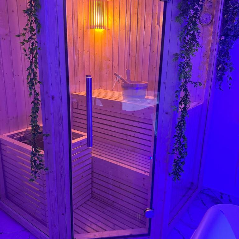 Loveroom de luxe avec jacuzzi sauna vapeur écran 300 cm - One-Bedroom Apartment - 3