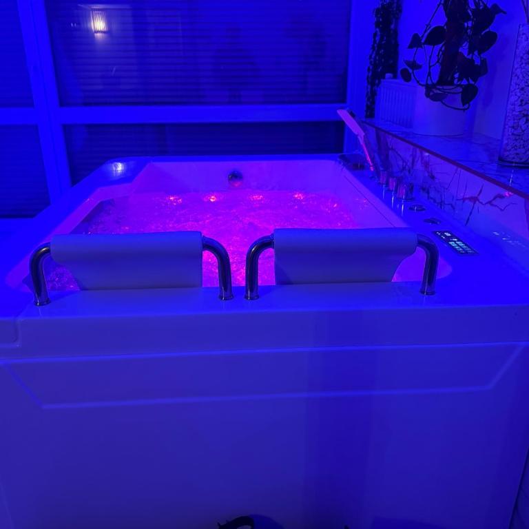 Loveroom de luxe avec jacuzzi sauna vapeur écran 300 cm - One-Bedroom Apartment - 32