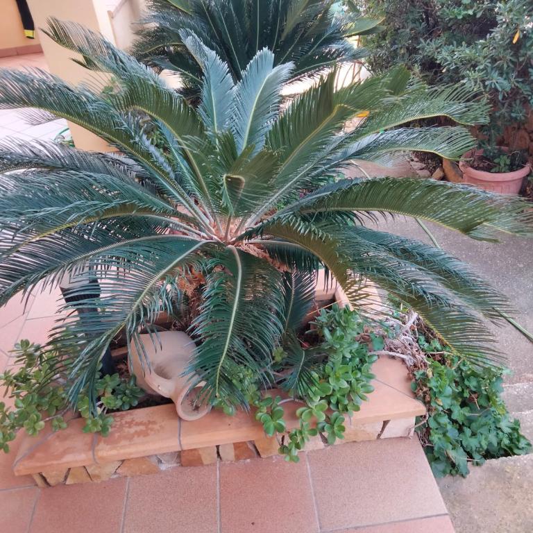 Acquamarina - Casa con 2 Camere da Letto - 10
