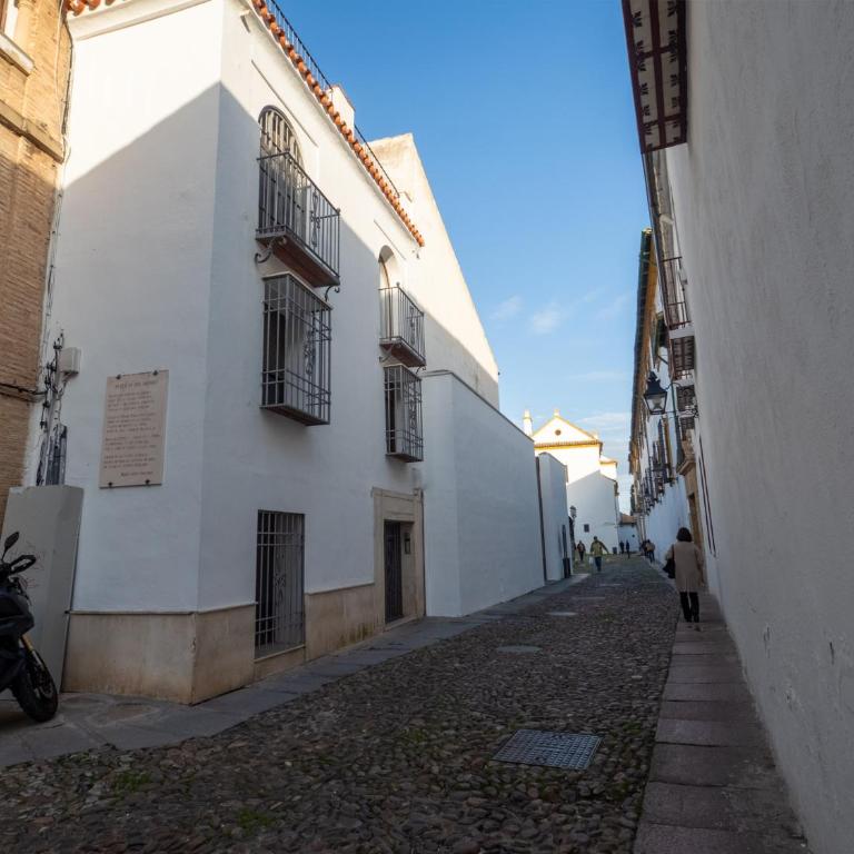 Capuchinos Home - Estudio - 2 niveles - 28