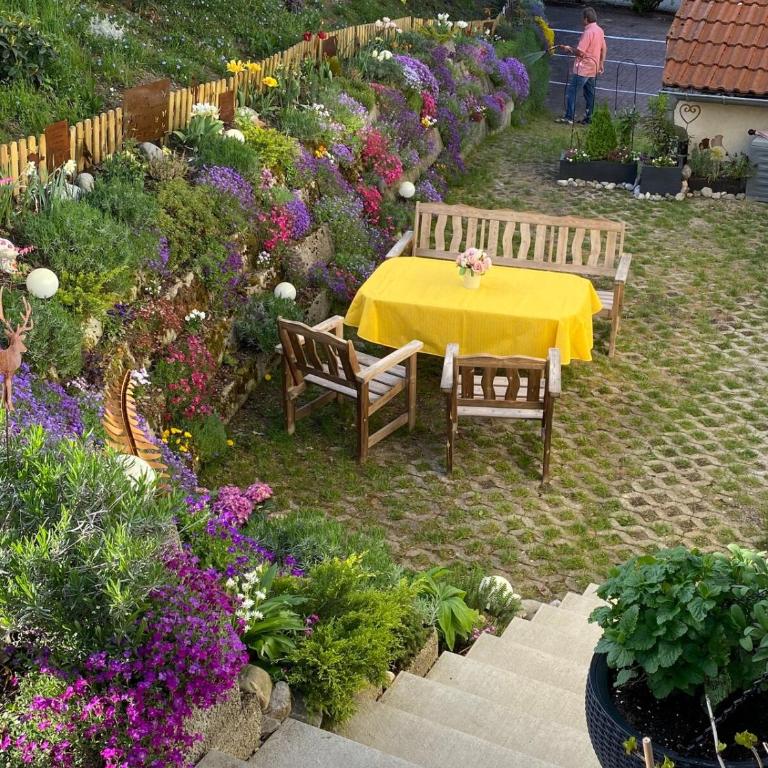 Ferienwohnung Am Heinzenhang Nestchen l - Apartment mit 1 Schlafzimmer - 5