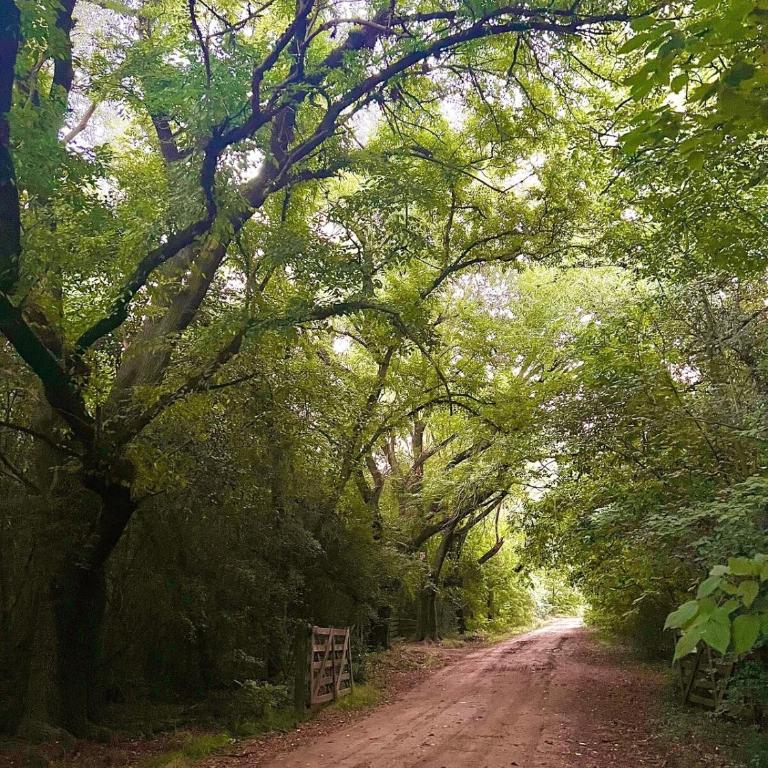 Casa en reserva natural en Lobos, 2 noches mínimo de estadía - Casa de 4 dormitorios - 31