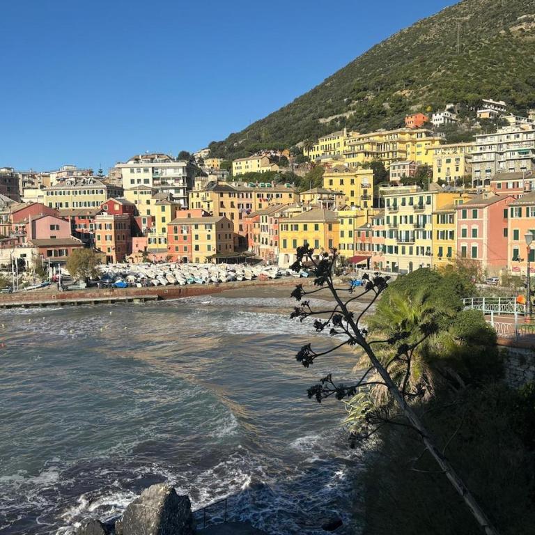Una finestra sul mare 1 - A window on the sea 1 - Nervi - Genoa - Two-Bedroom Apartment with Sea View - 41