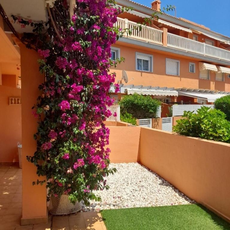 Apartamento Premium en planta baja junto al Parador y playa del Arenal - Apartamento de 2 dormitorios - 19