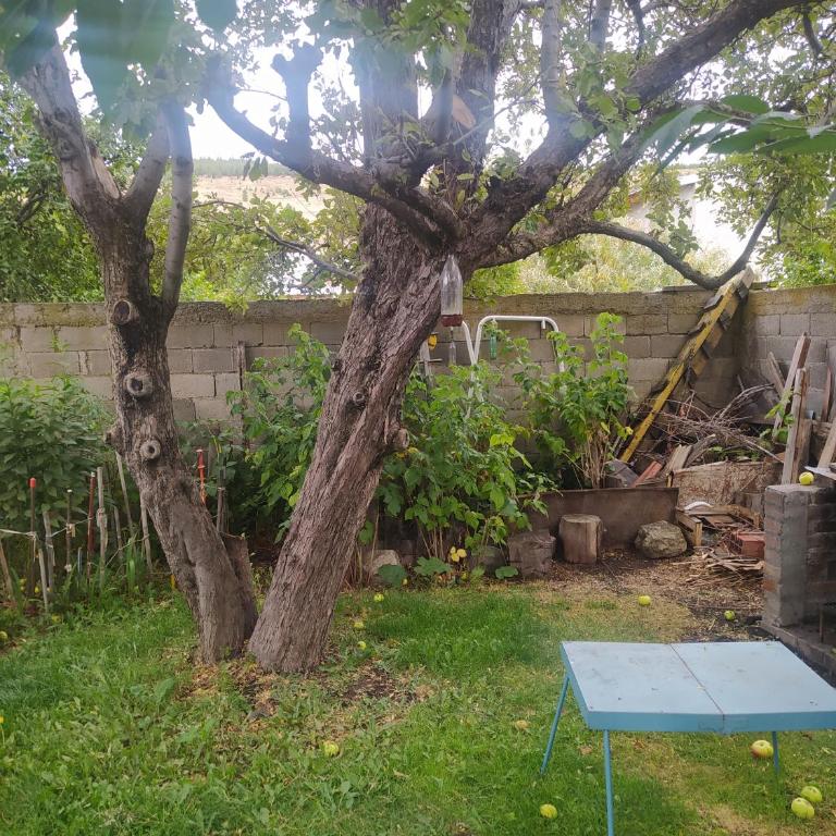 Bungalito Luzmira - Apartamento de 1 dormitorio - 6
