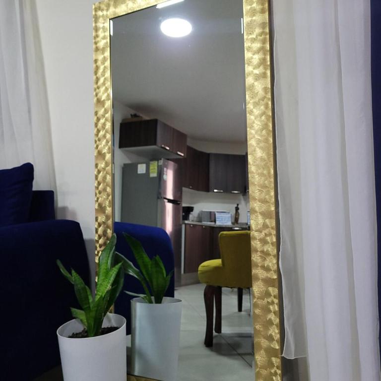 Céntrico, con alberca y estacionamiento - Apartamento de 2 dormitorios - 14