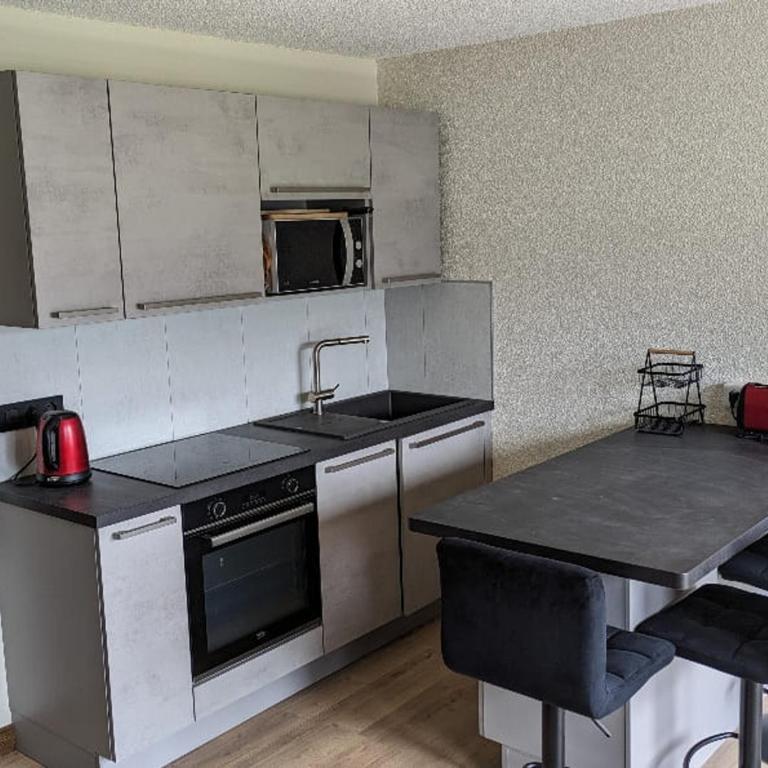 Studio confortable à Châtel avec WiFi et parking couvert - FR-1-676-215 - Studio - 1