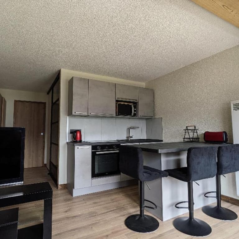 Studio confortable à Châtel avec WiFi et parking couvert - FR-1-676-215 - Studio - 2