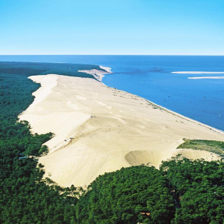 Arcachon Centre - T2 Confortable avec Balcon et Parking Privé - FR-1-420-156 - Apartment - 15