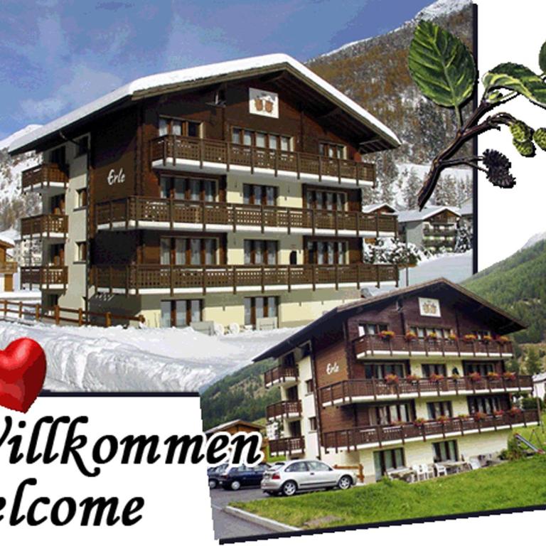 Haus Erle - Apartment mit 1 Schlafzimmer - 1