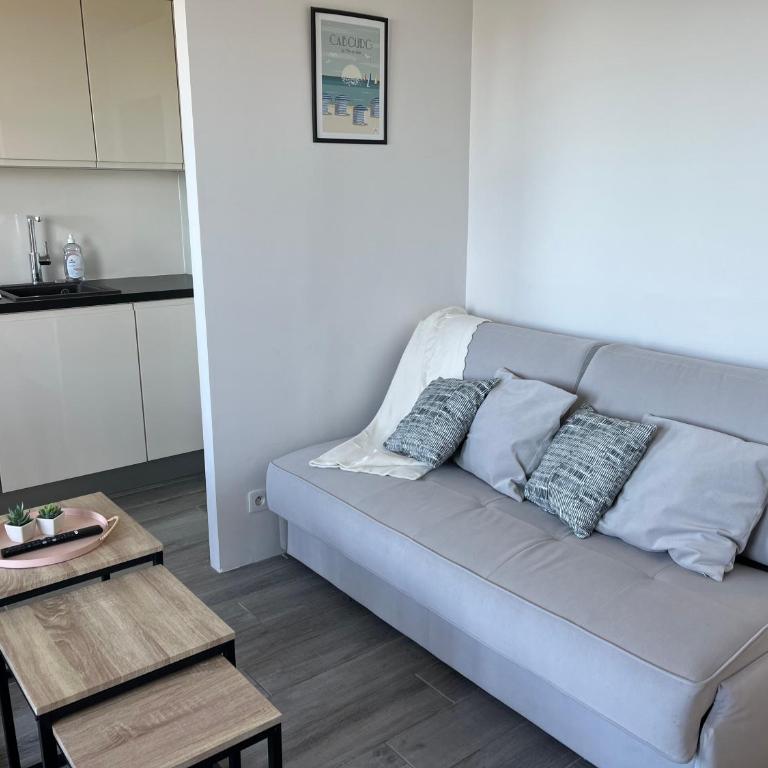Appartement T2 vue mer - Appartement 1 Chambre avec Vue sur la Mer et Terrasse - 6