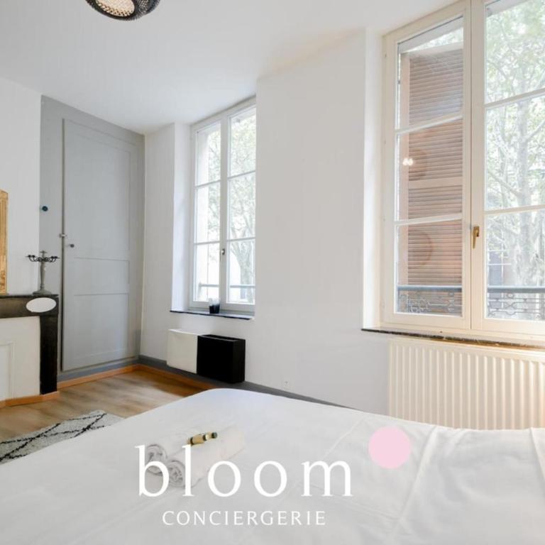 Nancy vieille ville Place St Epvre le 2 chambres des Dames - Appartement - 1