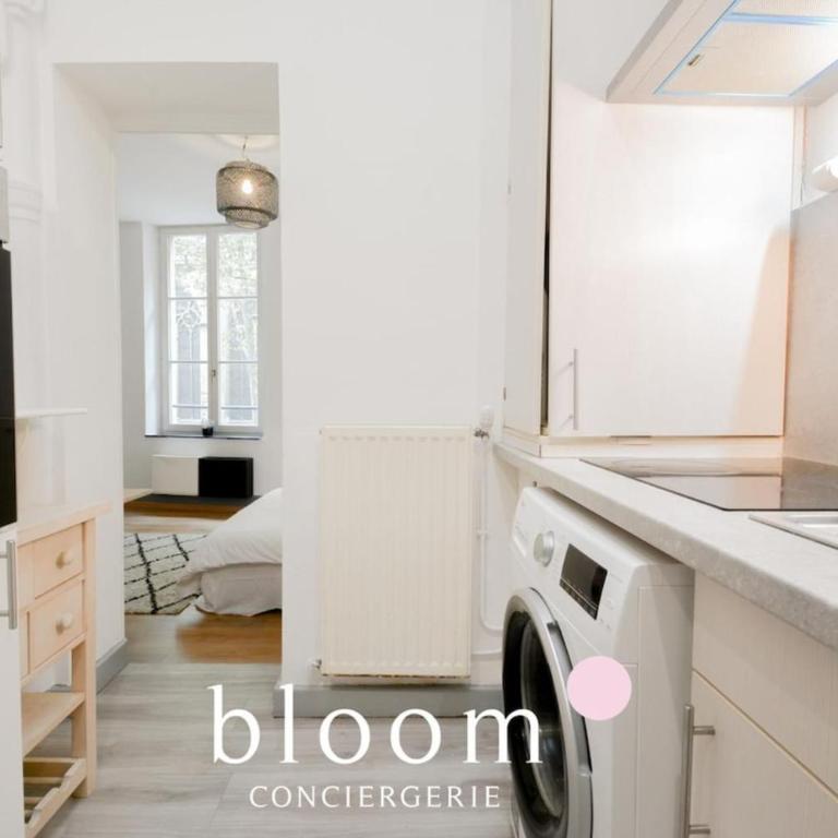 Nancy vieille ville Place St Epvre le 2 chambres des Dames - Appartement - 6