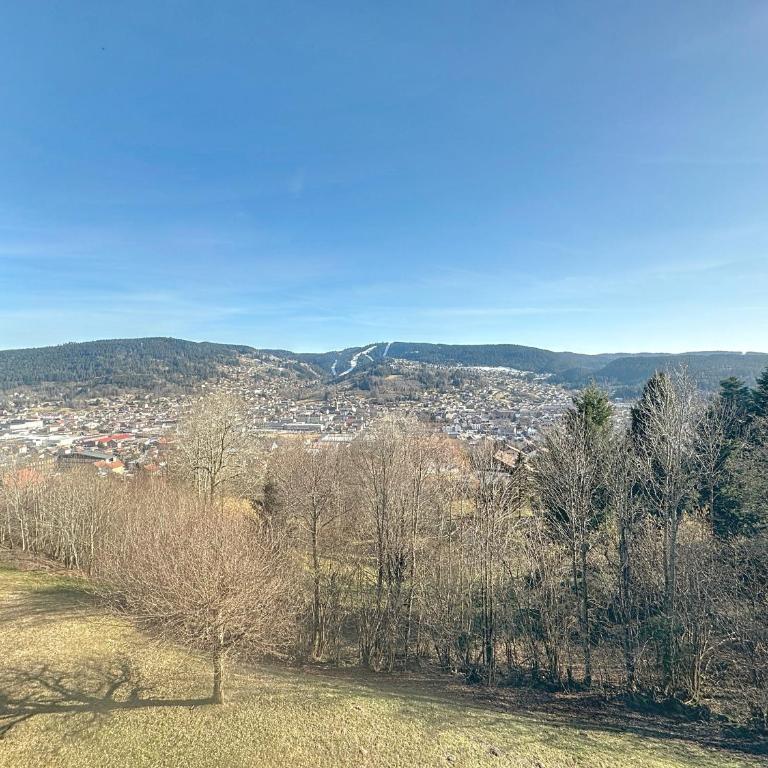 La Tanière : 4 personnes - Appartement avec Vue sur la Montagne - 2