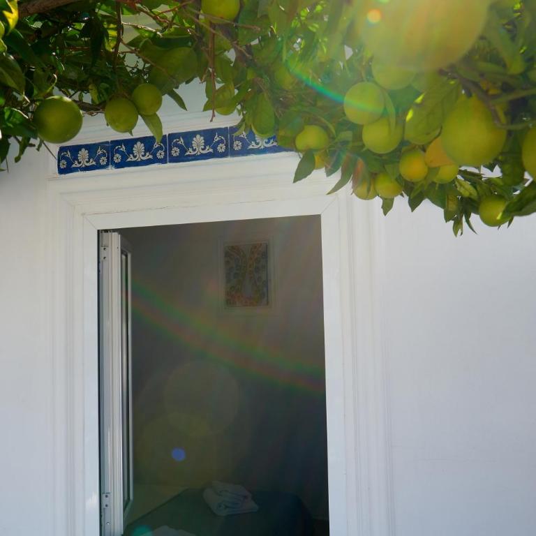 La Casa Dei Merli - Casa con 2 Camere da Letto - 16